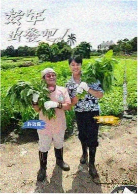 虚颜